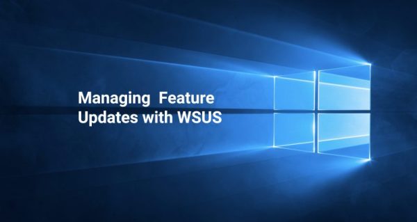 Windows 11 Features Interface & updates